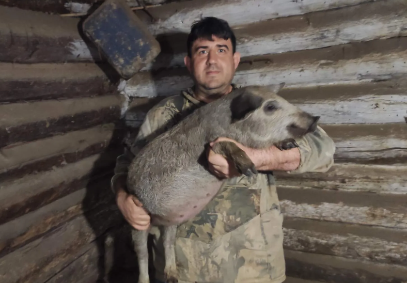 Вячеслав Лаптев, депутат АКЗС и глава КФХ — откровенно о важных проблемах жителей села